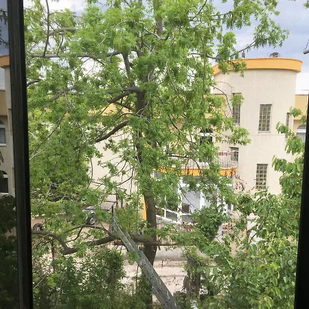 X Varna Hostel *